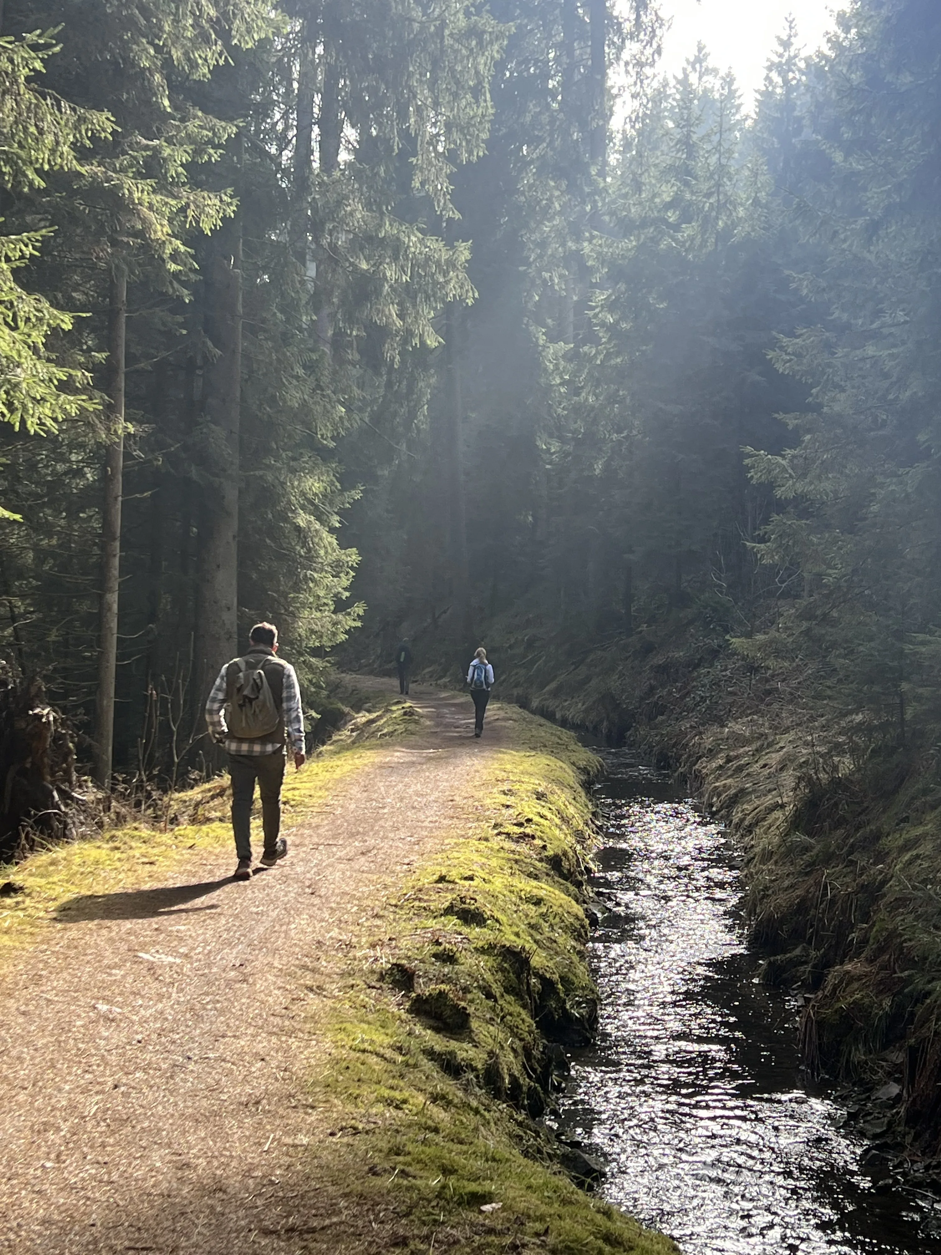 Wandern in der Natur